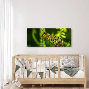 Tablou cu omide (120x50 cm)