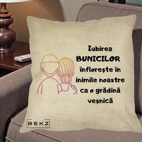Cadou pentru Bunici - Perna Personalizata Iubirea Bunicilor Infloreste Cuplu Line Art Gradient, 40x40 cm, Crem, Husa Detasabila, Perna Inclusa, BEKZ®