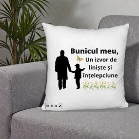 Cadou pentru Bunic - Perna Personalizata Bunicul Meu Izvor de Liniste cu Fluture si Baietel, 40x40 cm, Alb Pufos, Husa Detasabila, Perna Inclusa, BEKZ®