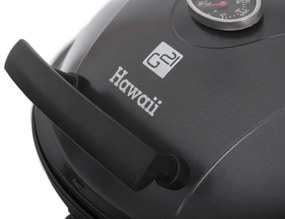 G21 Grătar electric Hawaii, 2 400 W, 90 x 43 x 95 cm