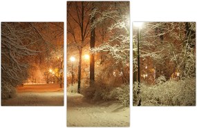 Tablou - Parcul înzăpezit (90x60 cm)