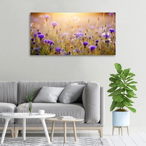Tablou pe pânză canvas Flori de câmp