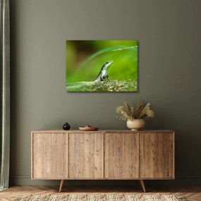 Tablou cu șopârlă (70x50 cm)