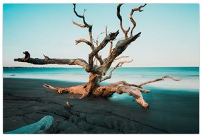 Tablou - Debarcare pe plaja (90x60 cm)