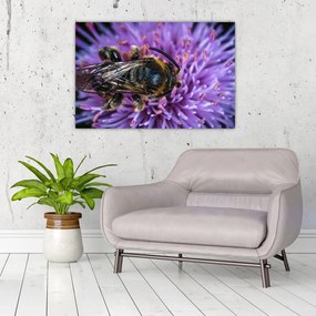 Tablou cu albina pe floare (90x60 cm)
