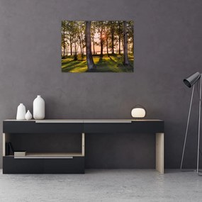 Tablou pe sticlă cu pomi lângă lac (70x50 cm)