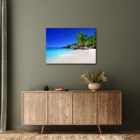 Tablou cu plaja pe insula Praslin (70x50 cm)