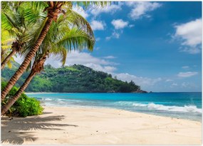 Tablou - Caraibe (70x50 cm)