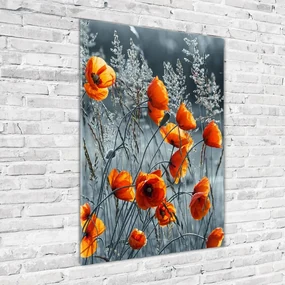 Imagine de sticlă wildflowers maci
