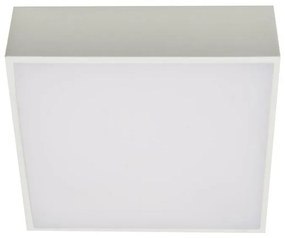 Azzardo AZ2781 - Plafonieră LED FALCO LED/12W/230V