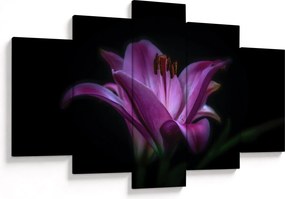 Tablou crinul (150x105 cm)