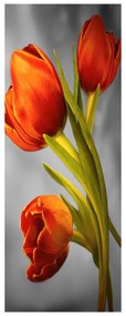 Fotojaluzele R013383R57150 (57x150 cm)