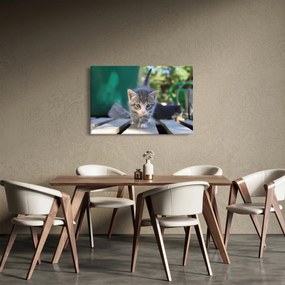 Tablou cu pisicuțe (90x60 cm)