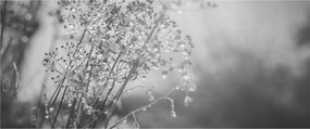 Tablou - Pajiște după ploaie (120x50 cm)