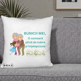 Cadou pentru Bunici - Perna Personalizata Bunicii Mei Comoara Iubire Intelepciune Nepoata, 40x40 cm, Alb Pufos, Husa Detasabila, Perna Inclusa, BEKZ®