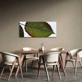 Tablou - Frunze de trandafir (120x50 cm)