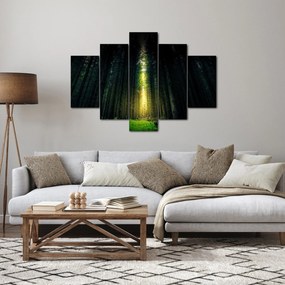 Tablou cu pădurea întunecată (150x105 cm)