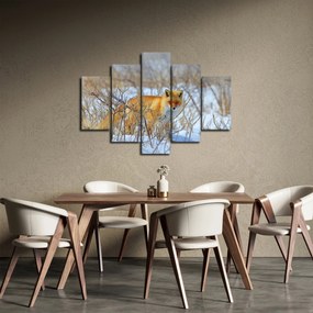 Tablou - Vulpe (150x105 cm)
