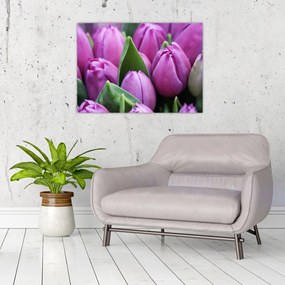 Tablou pe sticlă - florile lalelelor (70x50 cm)