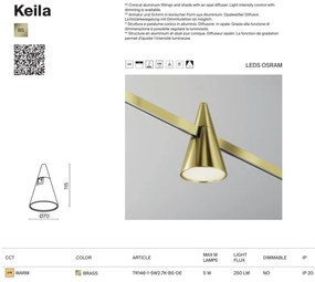 Accesoriu, Spot pentru Sistem Modular Magnetic Flarity, Keila alama