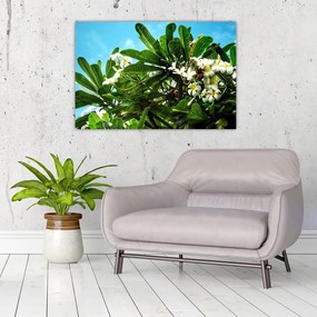 Tablou - Plumeria (90x60 cm)