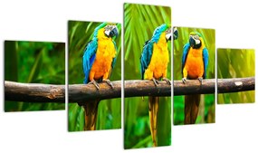 Tablou modern - papagali (125x70cm)
