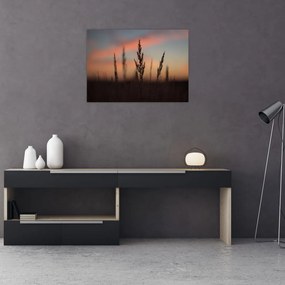Tablou pe sticlă - Silueta plantei (70x50 cm)