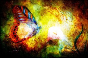Tablou - Fluture spațial (90x60 cm)