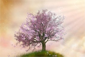 Tablou - Copacul înflorit în deal (90x60 cm)