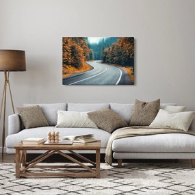 Tablou - Drumul cu serpentine (90x60 cm)