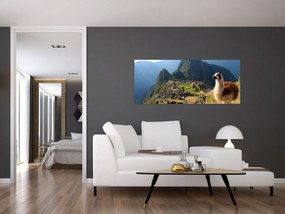 Tablou - Lama și Machu Picchu (120x50 cm)
