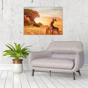 Tablou pe sticlă Girafe în Africa (70x50 cm)