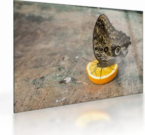 Tablou pe sticlă cu fluturi (70x50 cm)