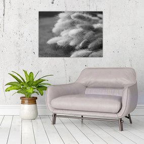 Tablou pe sticlă - iarbă de coadă de iepure pe masă (70x50 cm)