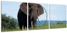 Tablou cu elefant (cu ceas) (90x30 cm)
