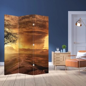 Paravan - Norii portocalii (126x170 cm)