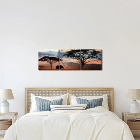 Tablou - Parcul Național Serengeti, Tanzania, Africa (cu ceas) (90x30 cm)