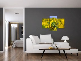Tablou cu floarea soarelui (90x60 cm)
