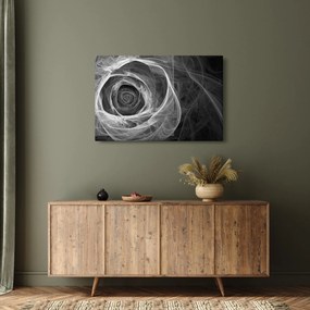 Tablou - Abstract trandafir negru și alb (90x60 cm)