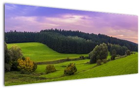 Tablou cu lunca (120x50 cm)