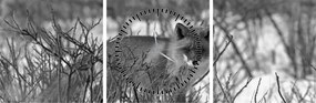 Tablou - Vulpe în timpul iernii (cu ceas) (90x30 cm)
