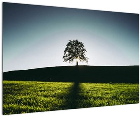 Tablou cu natura - copac (90x60 cm)