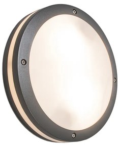 Lampă de perete și plafon gri închis cu 2 lumini IP54 - Glow