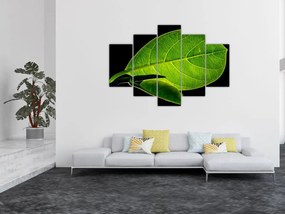 Tablou - frunză verde (150x105 cm)