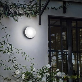 Aplica / Plafoniera de exterior stil modern minimalist URANO PL1 SMALL antracit 168111