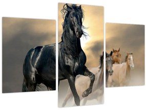 Tablou - Cai (90x60 cm)