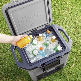 Lada frigorifica Ninja FrostVault FB131EUGY, 28 l, Pasiva, 48 doze, Pastreaza gheata pana la 5 zile, Compartiment uscat, Gri