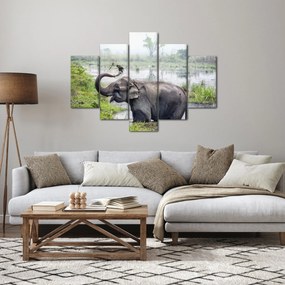 Tablou - Elefant de scăldat (150x105 cm)