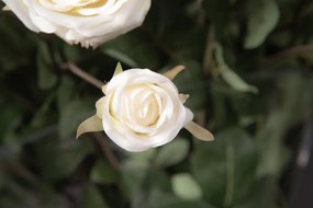 Aranjament floral mare decor festiv design LUX ROSES CLASSIC