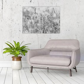 Tablou - Iarna rece (70x50 cm)